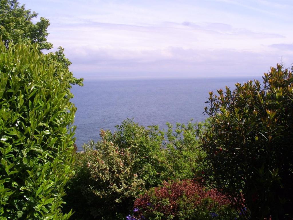 Lynton Cottage Seaview Apartments リントン 部屋 写真